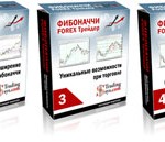 Фибоначчи Forex Трейдер (видеокурс) Фибоначчи Forex Трейдер (видеокурс)