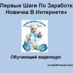 Первые шаги по заработку новичка в интернете (видеокурс) Первые шаги по заработку новичка в интернете (видеокурс)