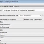 Клавиатурные сокращения в Adobe Photoshop (видеоурок) Клавиатурные сокращения в Adobe Photoshop (видеоурок)