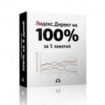 Яндекс.Директ на 100% всего за 5 занятий (видеокурс) Яндекс.Директ на 100% всего за 5 занятий (видеокурс)