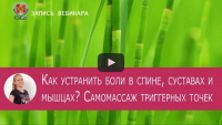 Устраняем боли в спине, суставах и мышцах (запись вебинара) Устраняем боли в спине, суставах и мышцах (запись вебинара)