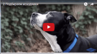 Исходники для коллажей (урок Photoshop) Исходники для коллажей (урок Photoshop)
