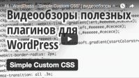 Simple Custom CSS (урок WordPress) Simple Custom CSS (урок WordPress)
