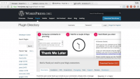 Thank Me Later (урок WordPress) Thank Me Later (урок WordPress)