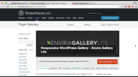 Responsive WordPress Gallery — Envira Gallery Lite (урок WordPress) Responsive WordPress Gallery — Envira Gallery Lite (урок WordPress)
