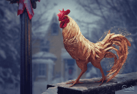 Коллаж — Петушок на удачу (2 урока Photoshop) Коллаж — Петушок на удачу (2 урока Photoshop)