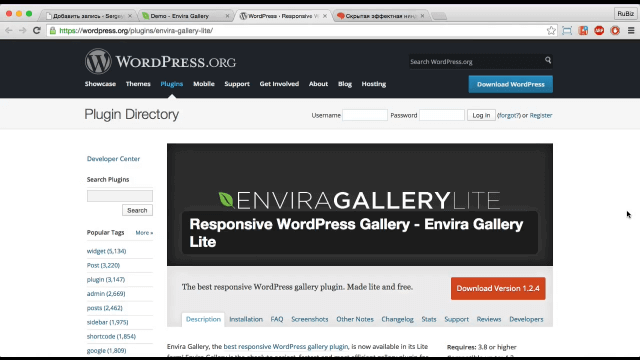 Плагин Responsive WordPress Gallery - Envira Gallery Lite